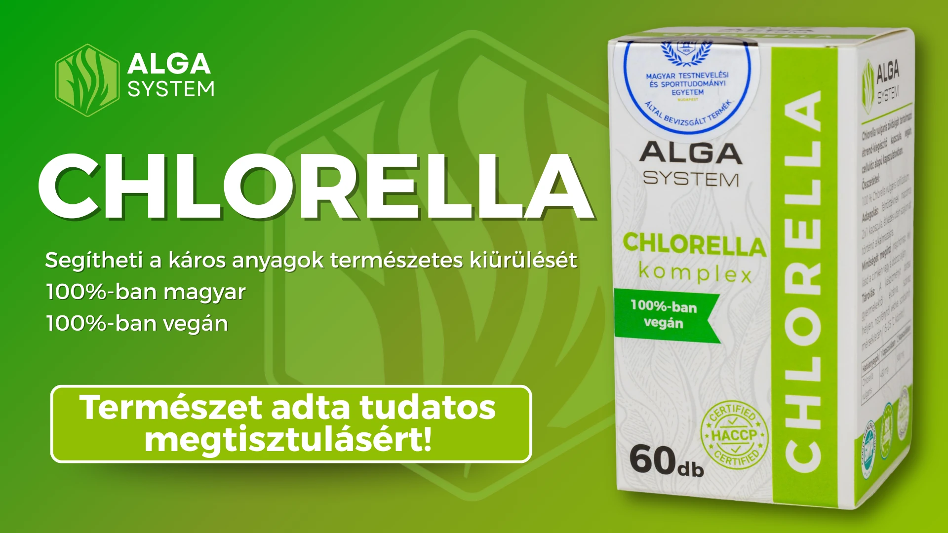 Alga System Chlorella komplex étrend-kiegészítő 60 db-os papírdobozos csomagolása zöld grafikus háttér előtt, fehér és zöld színekkel.