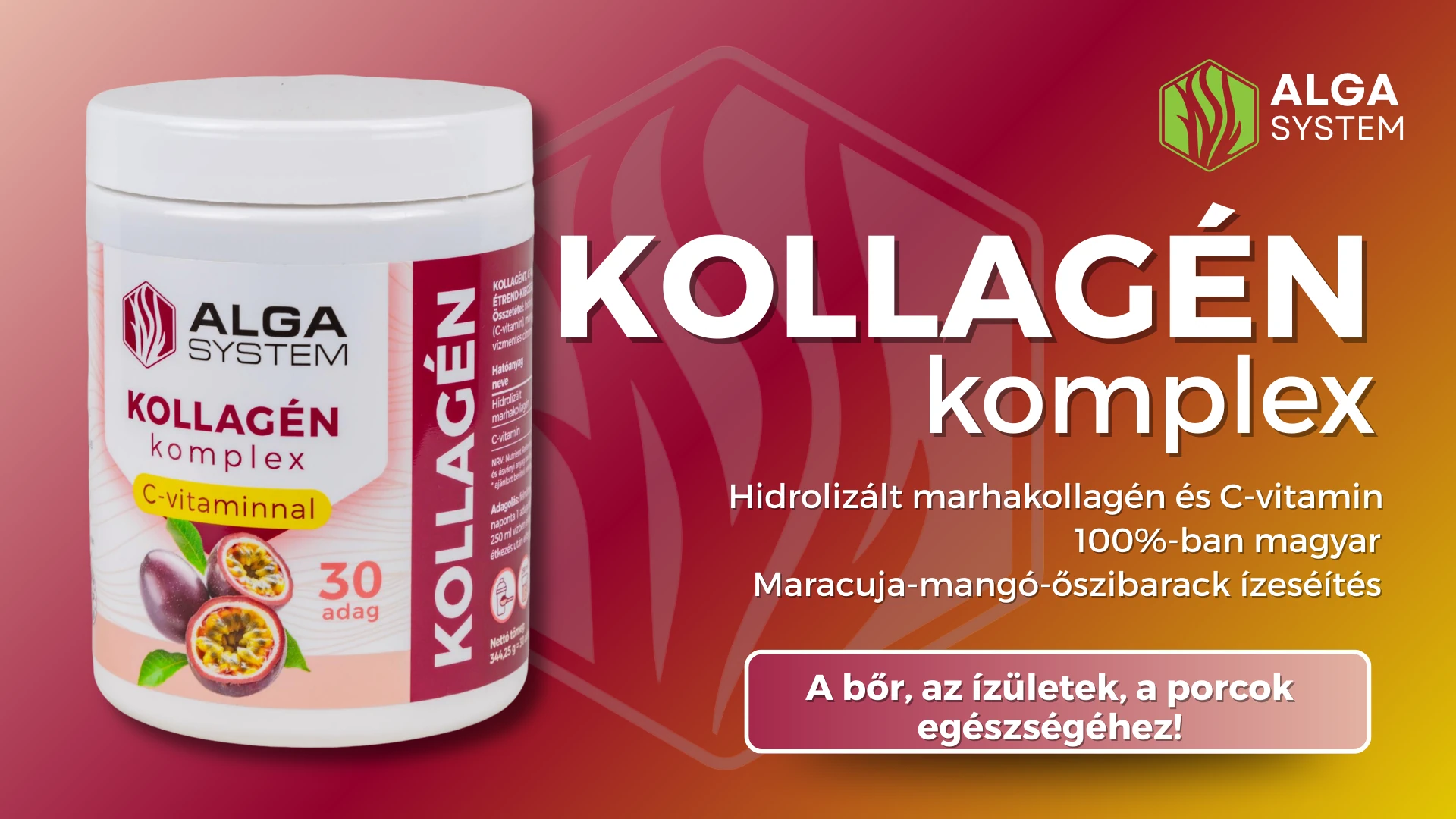 Alga System Kollagén komplex áfonyás étrend-kiegészítő por 30 adagos fehér tégelyben, kék grafikus háttérrel.