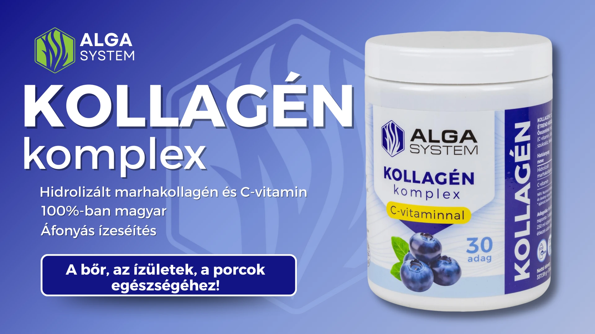 Alga System Kollagén komplex áfonyás étrend-kiegészítő por 30 adagos fehér tégelyben, kék grafikus háttérrel.