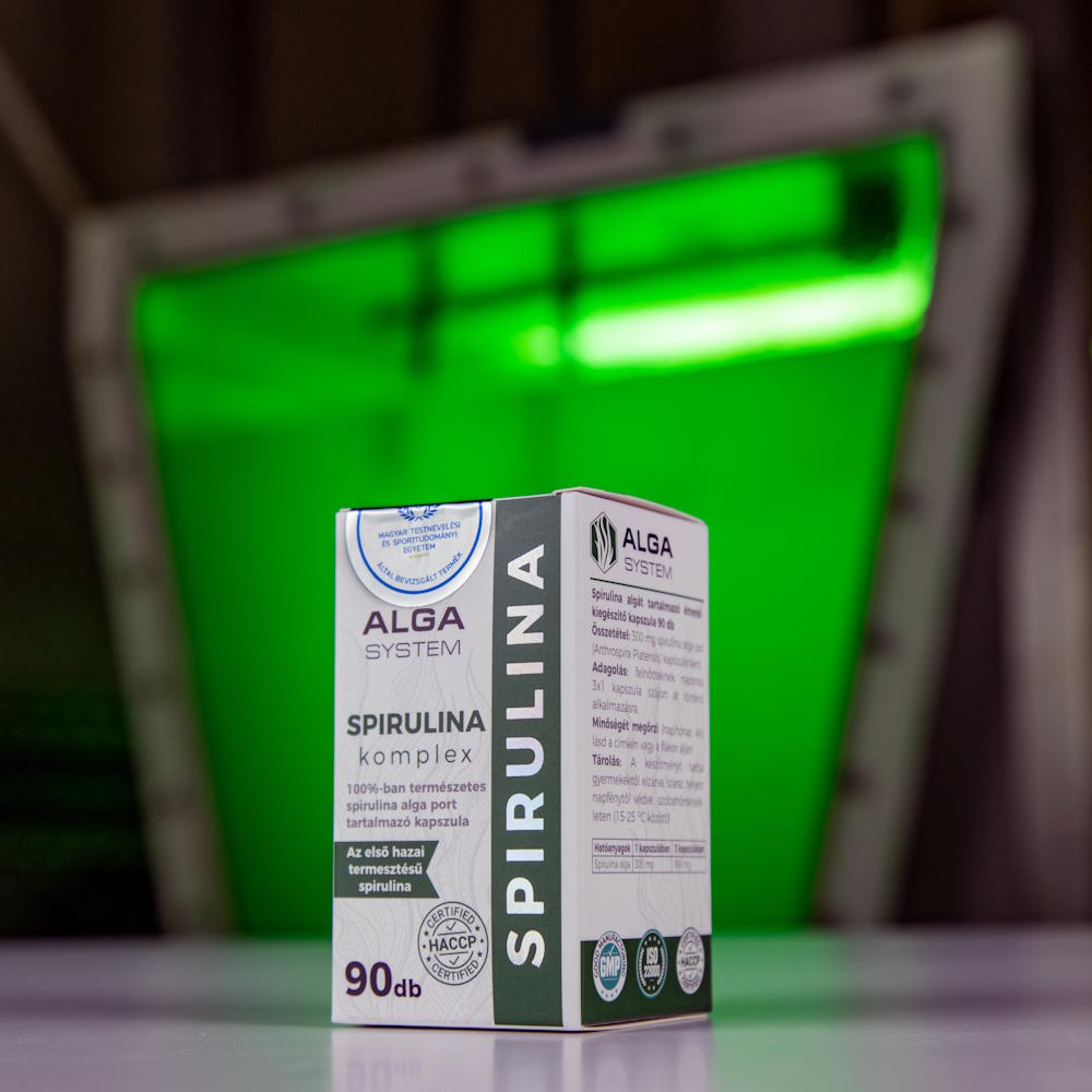 Spirulina az alga reaktor előtt.
