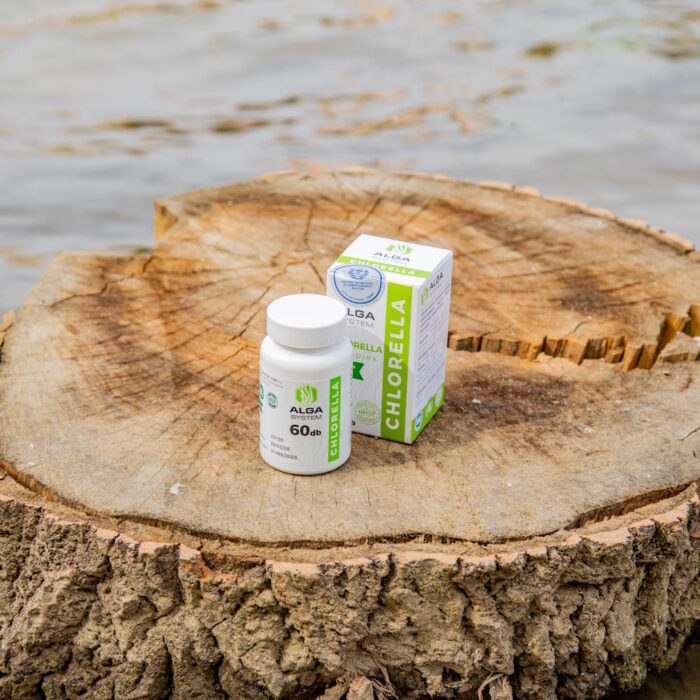 Alga System Chlorella étrend-kiegészítő 60 db-os kiszerelésben, dobozával együtt egy rusztikus tuskón, természetes környezetben.