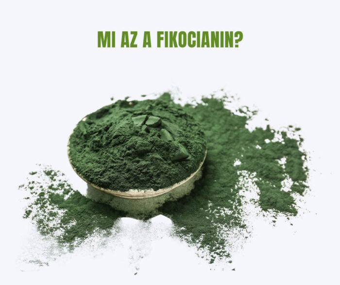 Fikocianin por egy kis tálkában, zöldes-kékes árnyalatú, finom por állaggal, fehér háttéren, szétterülve az asztalon.